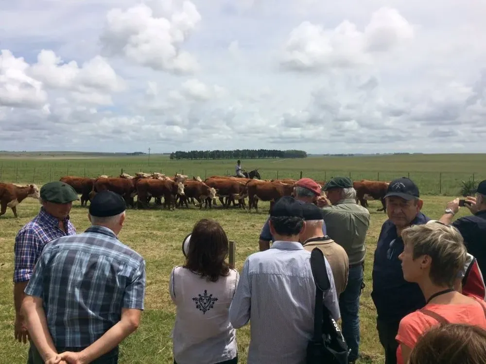 Los productores europeos se interesaron por los sistemas de producción en San José del Yaguarí