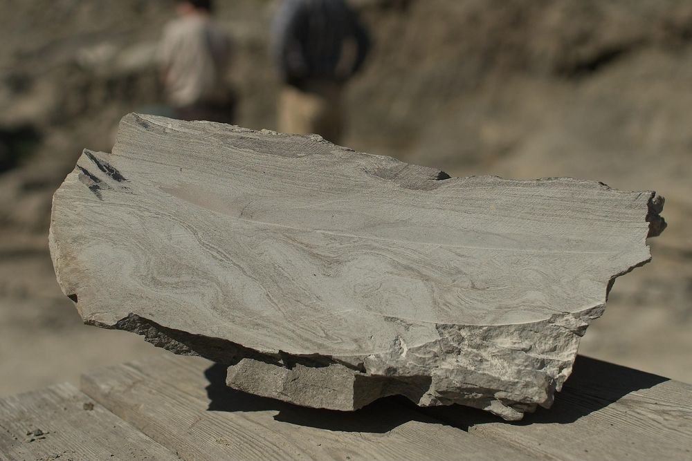 Se puede ver la marca de una ola en una roca encontrada en el arroyo.