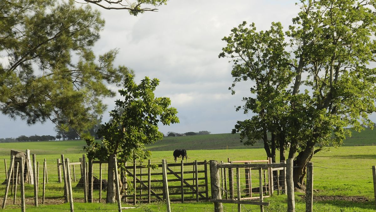 La Federación Rural se pronunció sobre el acuerdo comercial Mercosur - Unión Europea