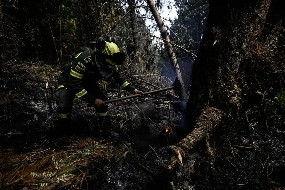 Con picos, palas y machetes pobladores y bomberos remueven la tierra humeante para evitar que el fuego reviva.