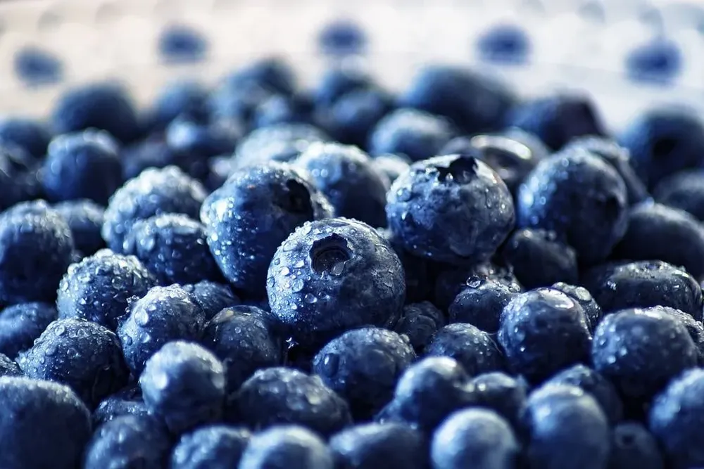 Lista Inteligente: arándanos, la fruta en la lista de nueve productos recomendados.