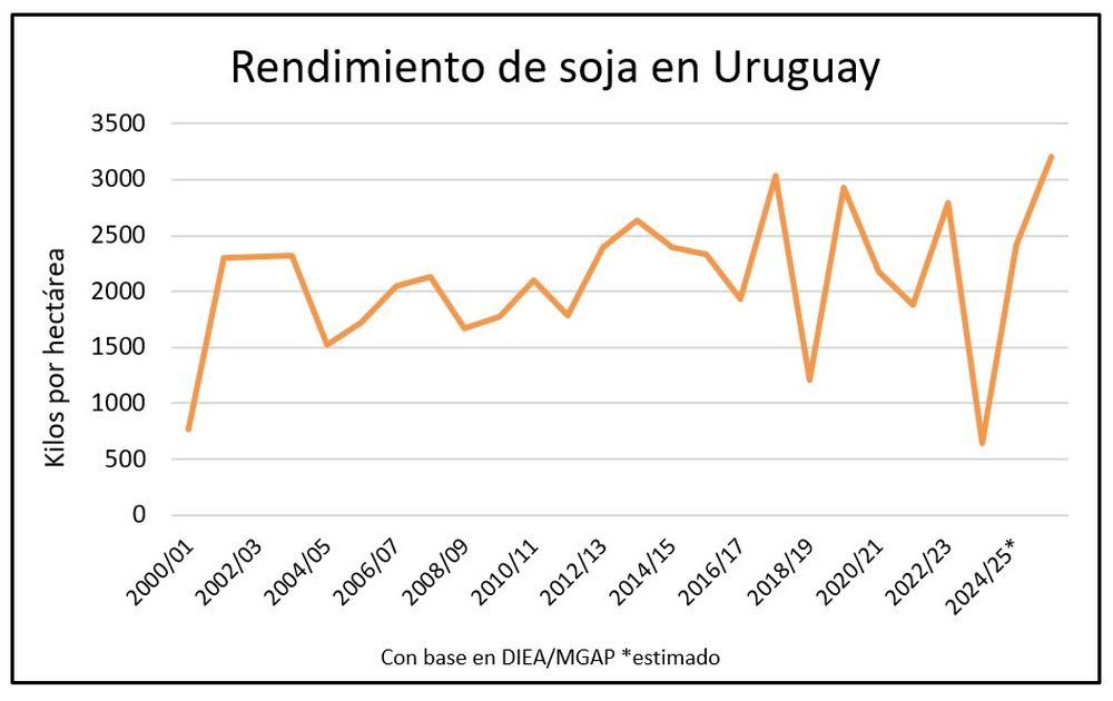 Soja: en marcha una cosecha récord en volumen.