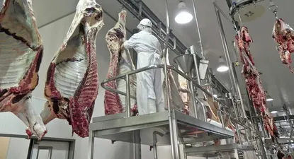 Denuncia china debilita a la industria cárnica uruguaya