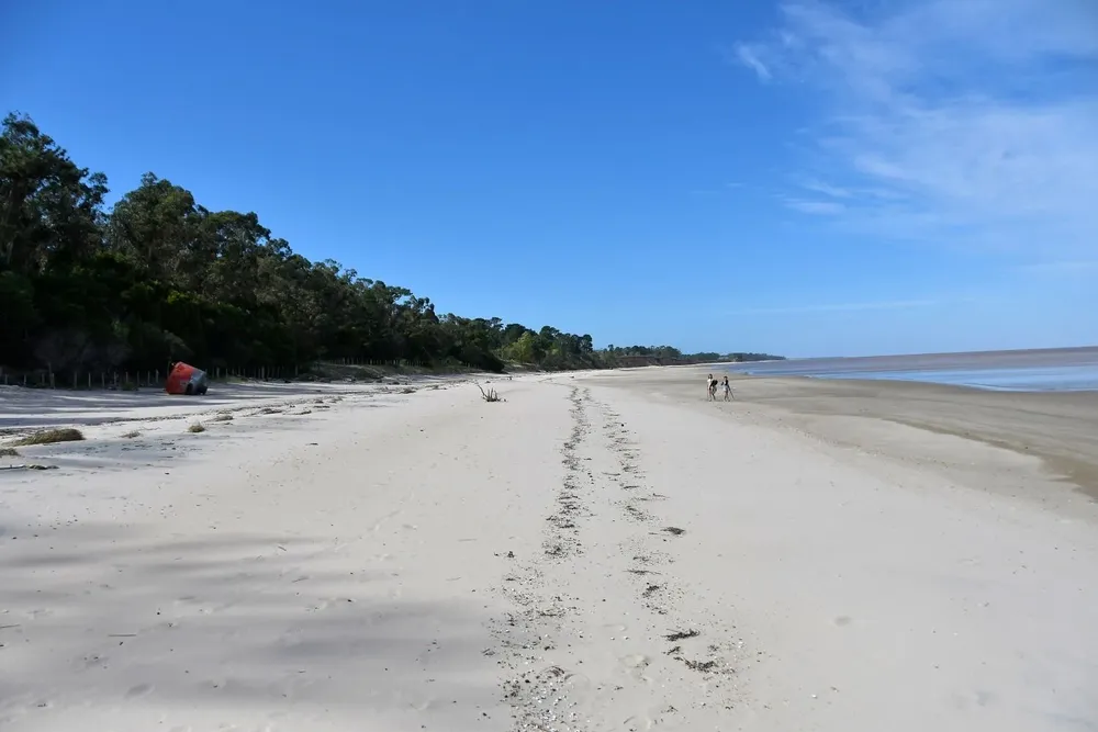 El proyecto Neptuno se instalará en Arazatí en San José