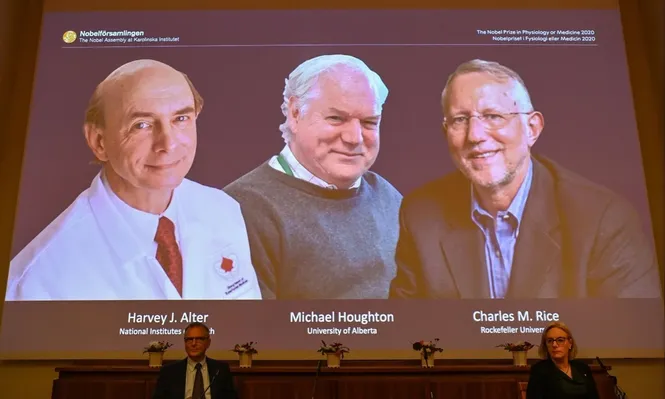 El Nobel de Medicina premia a los descubridores de otro virus: el de la hepatitis C