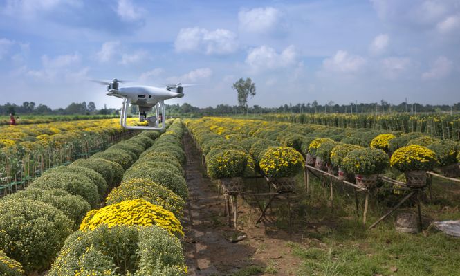 Agtech: la tecnología, en diversos campos, un aliado para los agricultores.