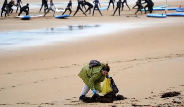 Unos voluntarios recogen pélets coordinados con Protección Civil en la playa bajo la lluvia.