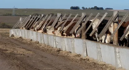 El Observador | 1680889122982.webp