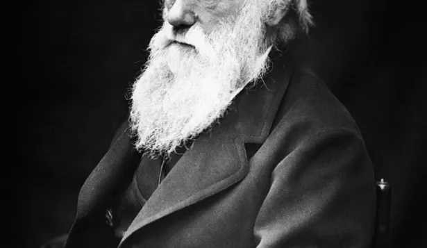 Darwinismo social
