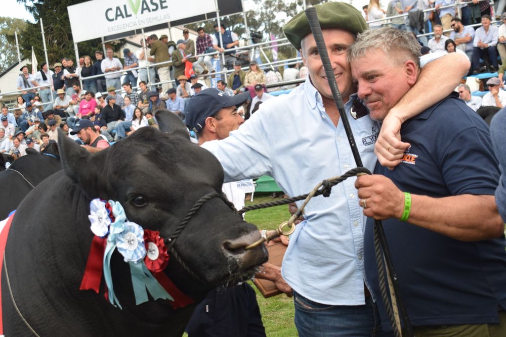 Angus: el mejor de todos los machos, de Los Macachines.