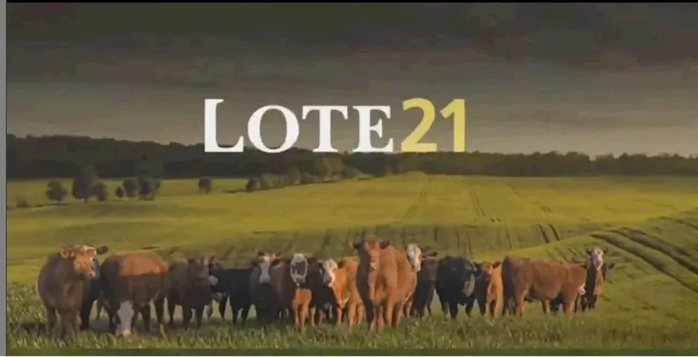 El remate tendrá como novedad la participación de un nuevo escritorio que se suma al consorcio.