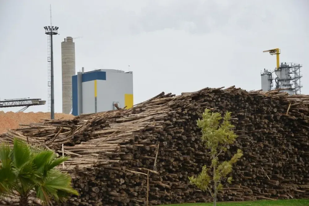 La posible llegada de UPM al centro del país entusiasma a las zonas menos desarrolladas