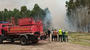 La SPF denuncia que un proyecto de prevención y control de incendios forestales atentará contra las inversiones, porque disminuirá el área disponible para forestar.