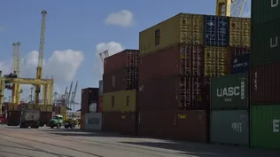 Las exportaciones de trigo mostraron un fuerte dinamismo durante el tercer trimestre.