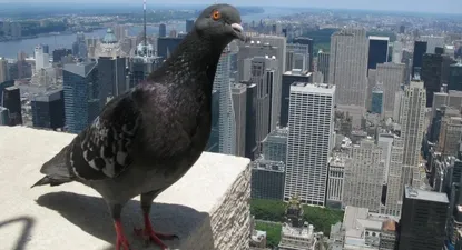 El Observador | 0018988410.webp