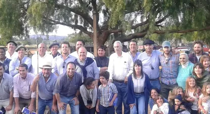 buena venta de toros de escritorio dutra en sierras del valle del laurel