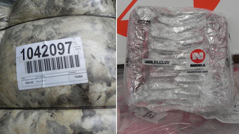 Exportaciones de carne ovina y productos laneros con ingresos al alza durante 2026.