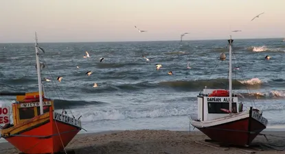 Lucas Etcheverrito subastará 25 solares en Punta del Diablo