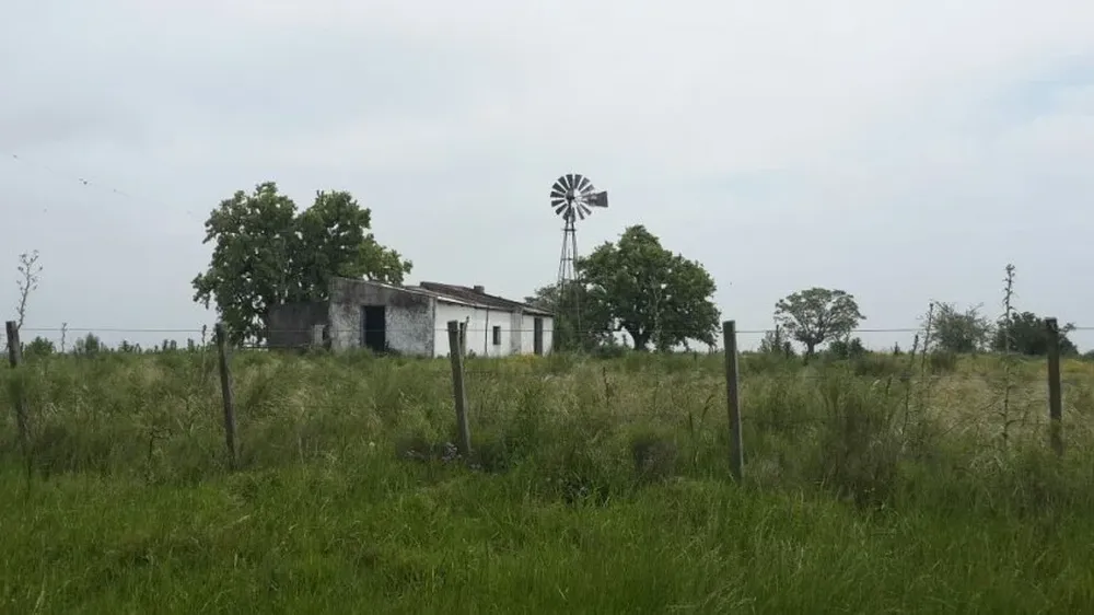 Predio con producción agropecuaria.
