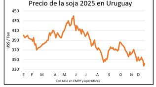 Soja, con el precio en el sótano.
