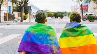 Los países de la UE deberán reconocer un matrimonio homosexual celebrado en otro Estado miembro