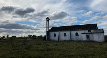 El Observador | 1653603785724.webp