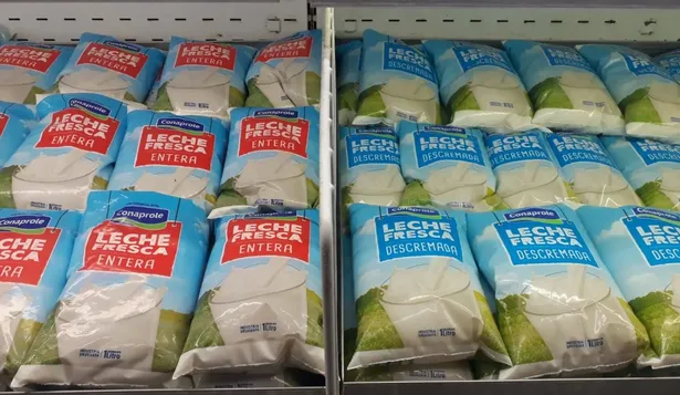 Este jueves se realiza un paro de 24 horas en la industria láctea