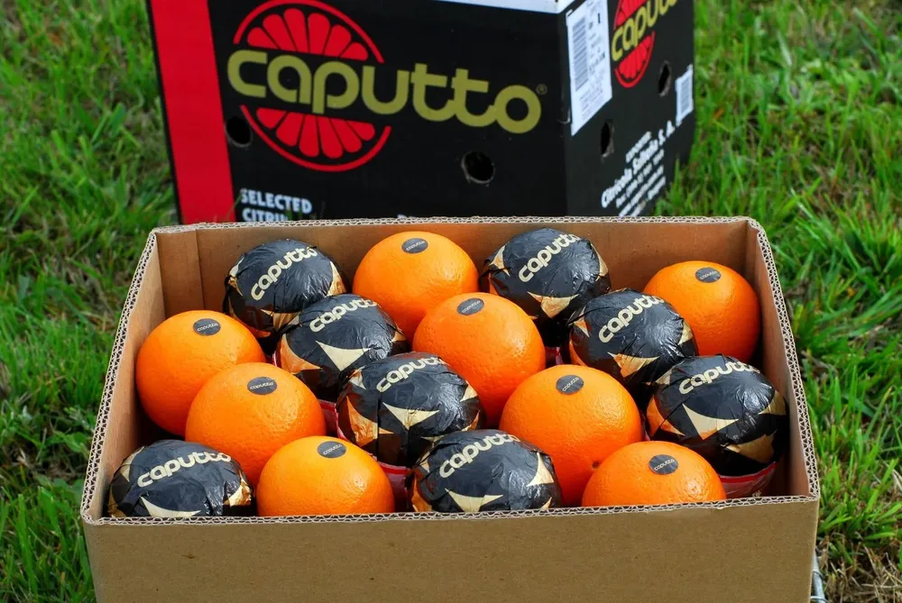 Acreedores aguardan ahora por llegada de inversor para venta en bloque de la empresa.