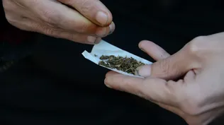 Los turistas que recorren los circuitos cannábicos gastan más, en promedio, que el turista convencional