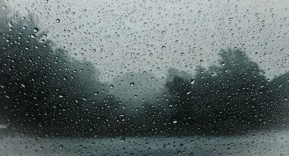 El Observador | 1544990705559.webp