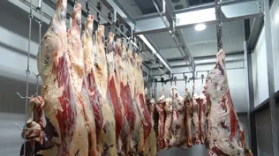 Minerva Foods compró plantas frigoríficas propiedad de Marfrig.