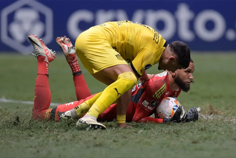 Guzma´n Rodríguez y Everson