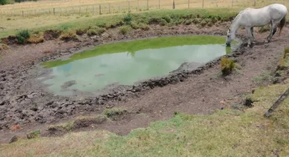 El Observador | 0001520317.webp