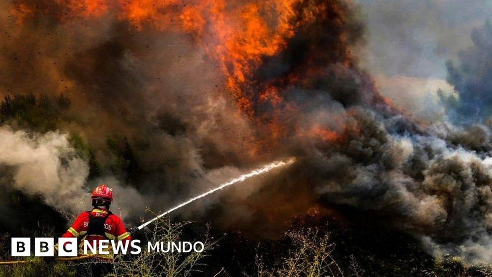 Incendios forestales