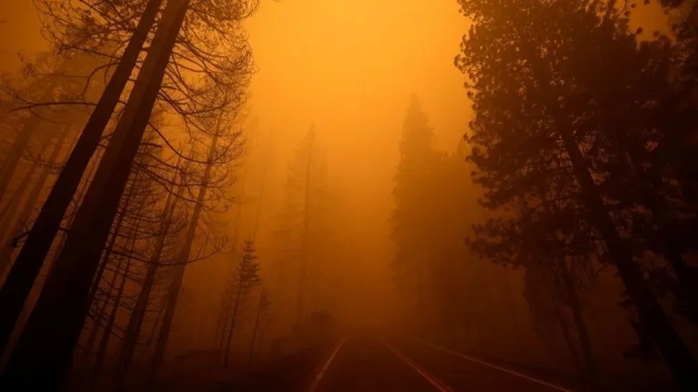 El humo y el cielo naranja sobre una ruta cerca de Greenville, California.