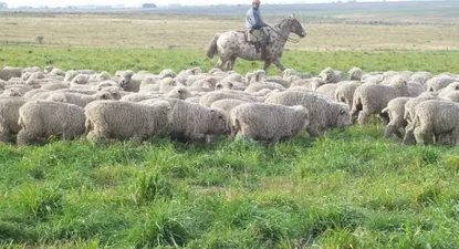 El Observador | 0002260024.webp