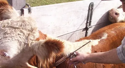 El Observador | 0000433104.webp