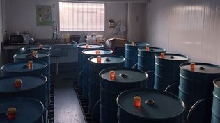 La miel se exporta en tambores de 300 kilos.