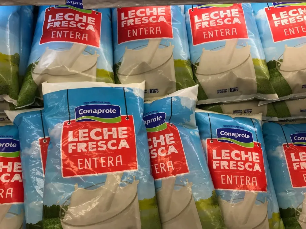 Leche fresca entera, de Conaprole.