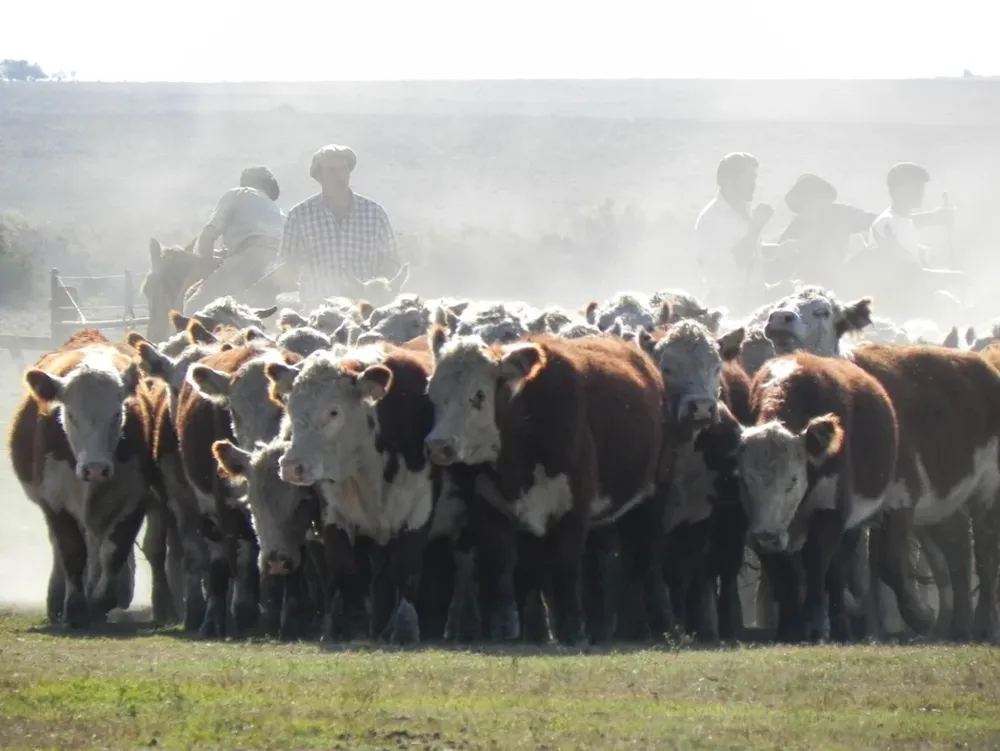 El trabajador rural tiene su feriado laborable