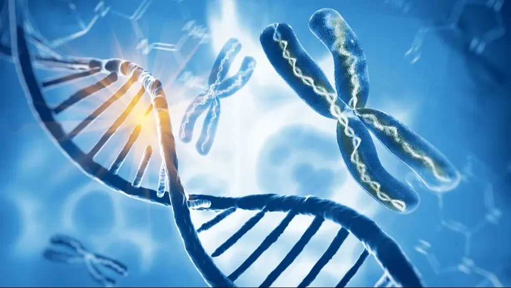 El genoma de las 450.000 personas almacenado en el Biobanco del Reino Unido.