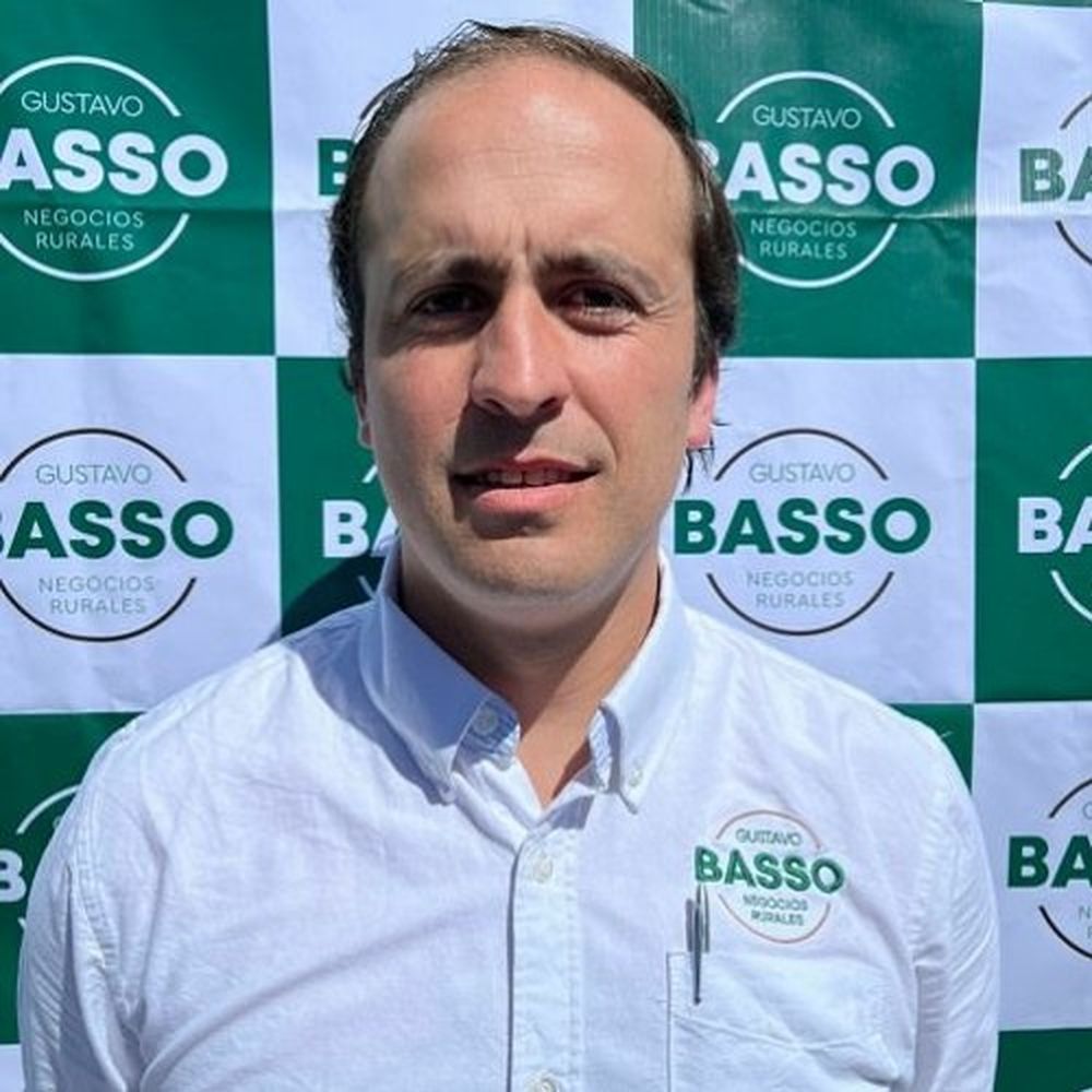 Quién es Alfredo Rava, el yerno y mano derecha de Gustavo Basso que ...