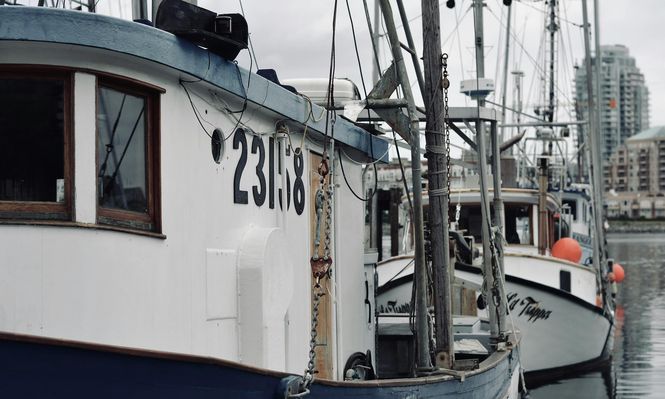 Pesca: un sector que en Uruguay soportó dificultades durante el 2024.