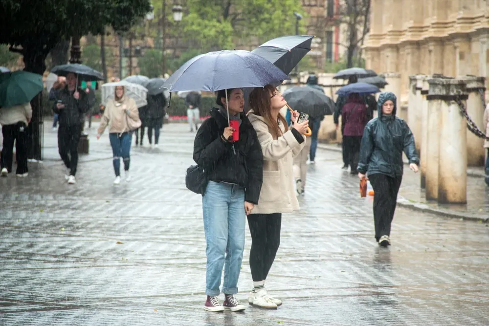 Varias personas se protegen de la lluvia bajo sus paraguas. A 9 de febrero de 2024, en Sevilla (Andalucía, España).
