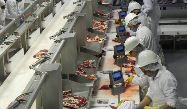 Exportación de carnes: la vacuna explica el 82% de los ingresos por exportaciones de la agroindustria cárnica.