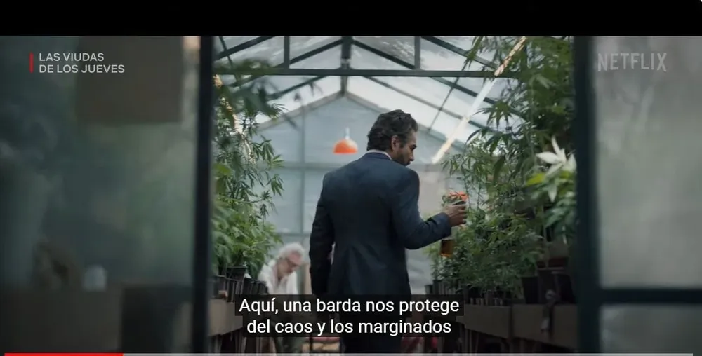 Las 4 series más exitosas de Netflix en Argentina para ver este fin de semana