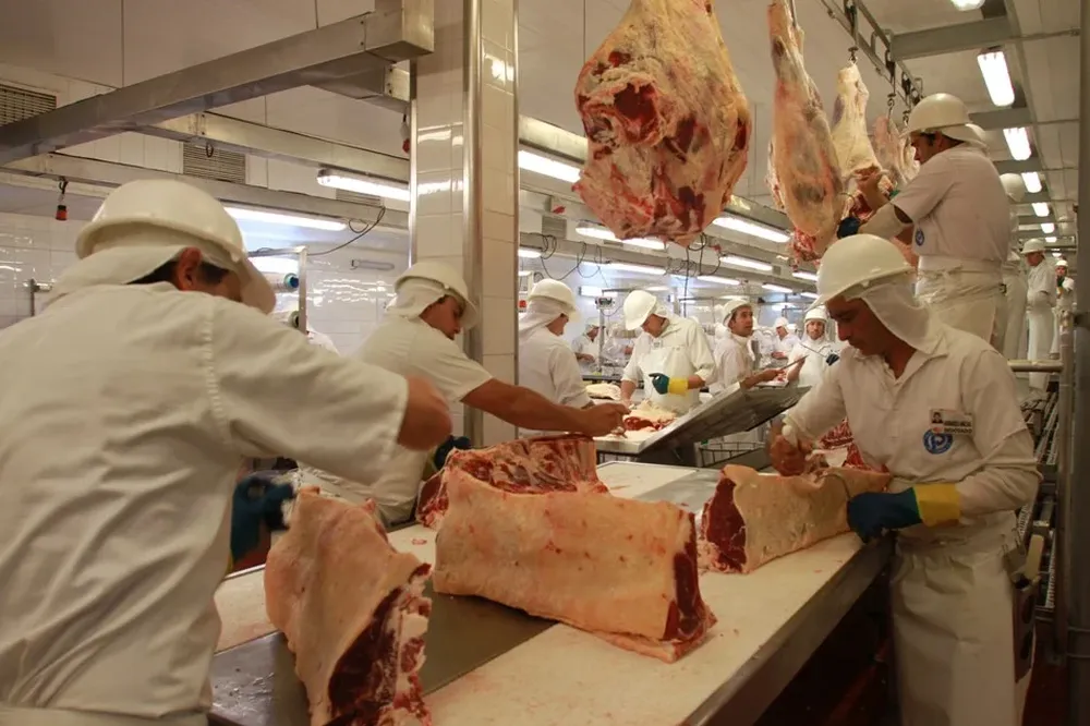 En las últimas dos semanas la faena superó las 40 mil reses