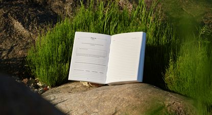 El Observador | joonas-sild-DgZdbZBa010-unsplash.jpg