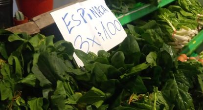 Frutas y verduras: espinaca de oferta en La Feria de la UAM.