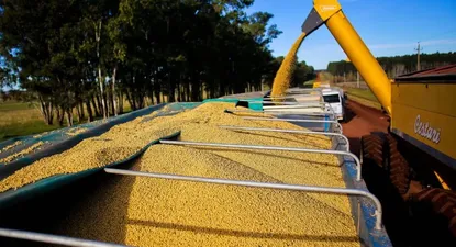 Crecen ventas, pero ánimo de algunos exportadores no mejora